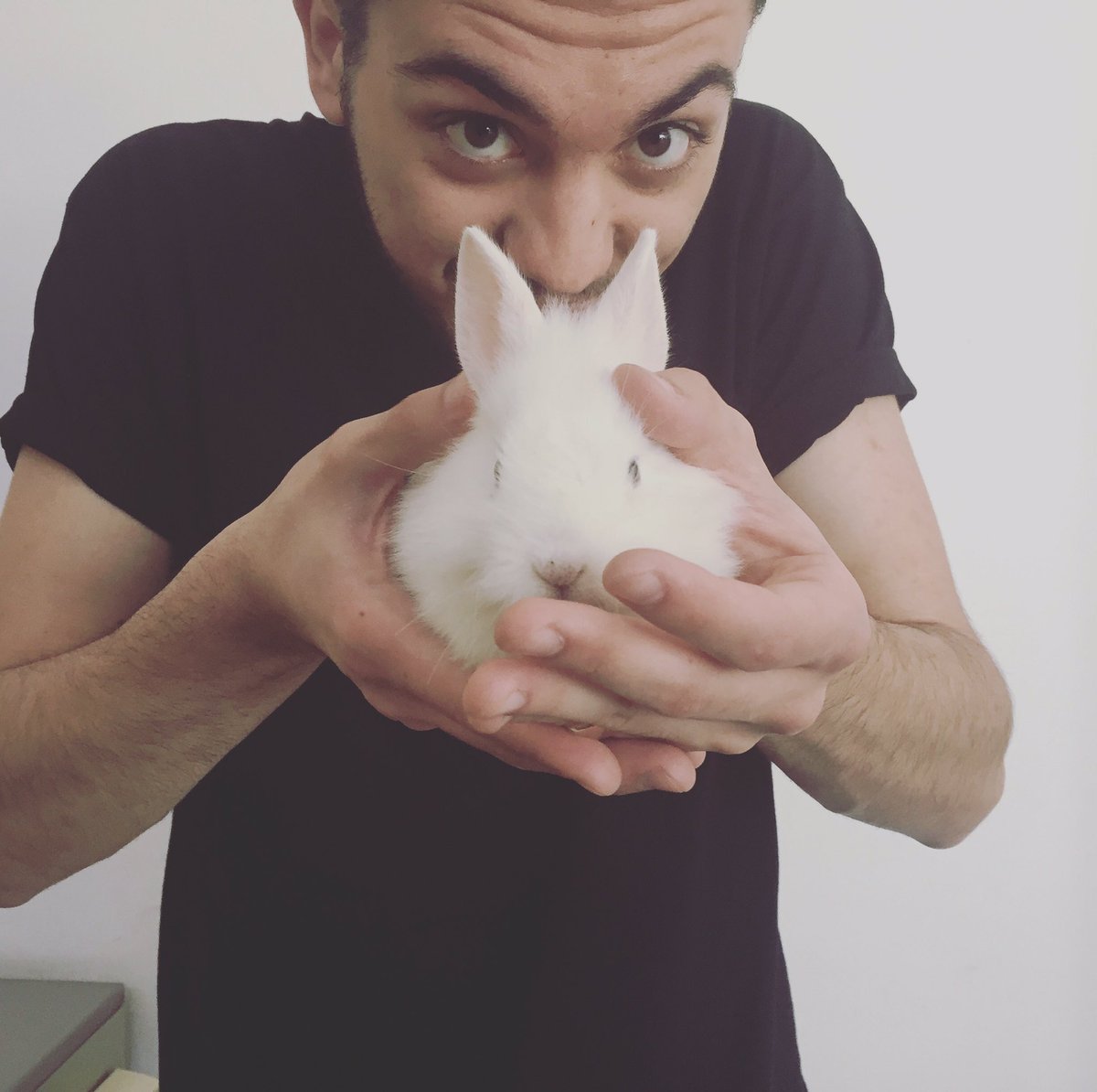 LeleUfficiale tweet picture