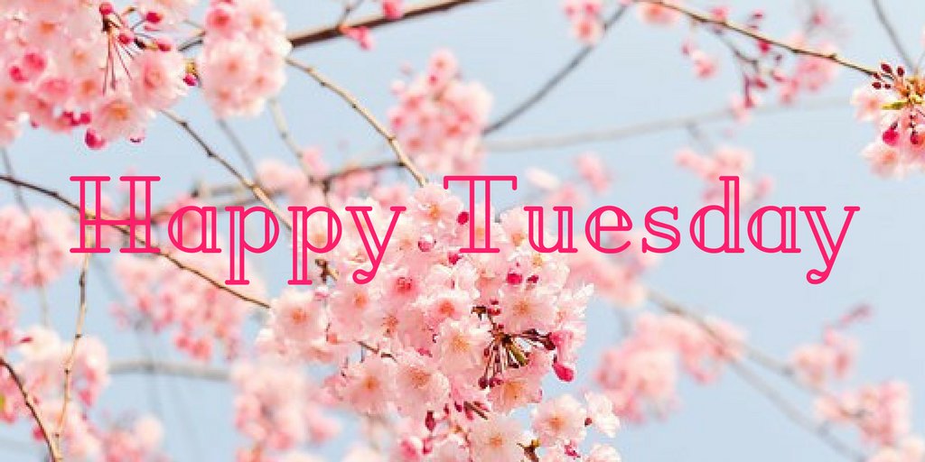iRadRadiators's tweet photo. Take a short walk or enjoy your lunch outside this #lunchtime for some inspiration and #TuesdayMotivation https://t.co/WVErXwLGs0