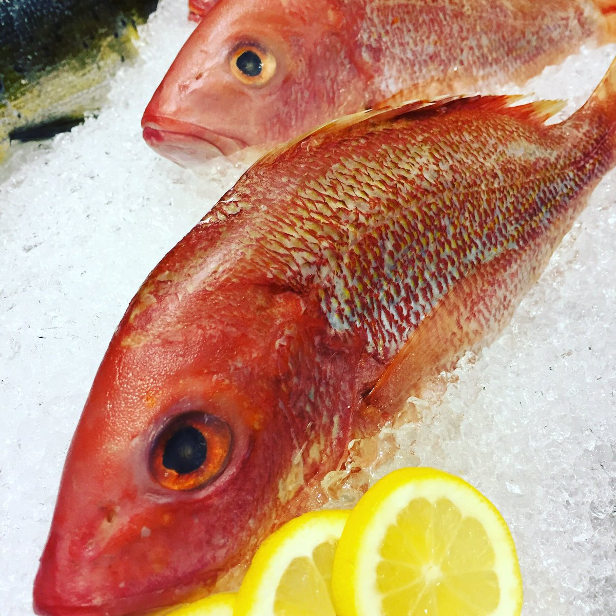 WES_Outlet's tweet photo. #tuesdaythought Why do people wait until Lent to make seafood a part of their weekly meal plan? #EatMoreFish #FishPPL https://t.co/lNJ3KE7Mhr