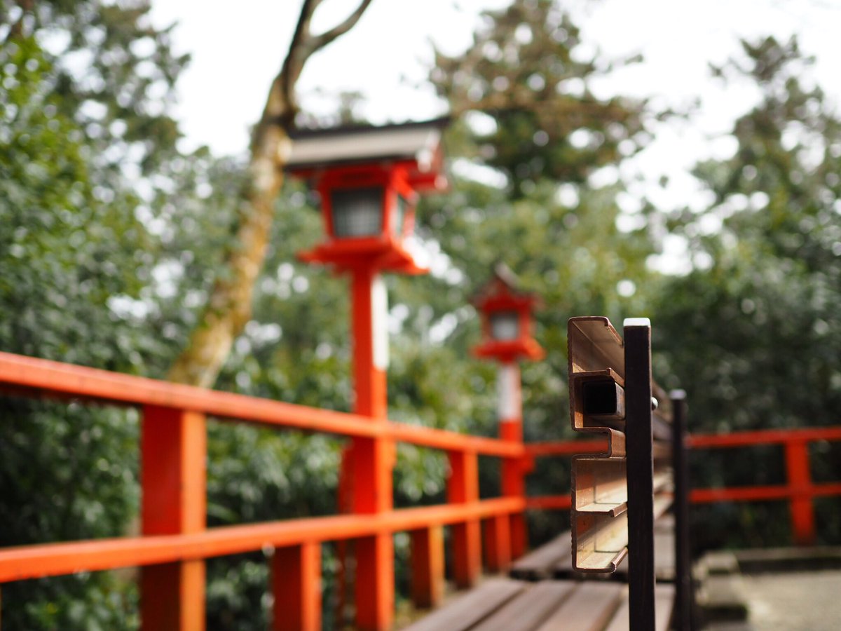 kdusynpi_h's tweet photo. 2017.3.25
〜京都〜

#ファインダー越しの私の世界 
#カメラ好きな人と繋がりたい 
#京都
#鞍馬山
#アラビカ https://t.co/DnK3xkMvx4
