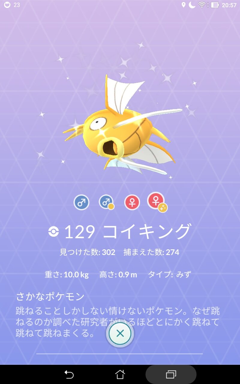 金のコイキング Twitter Search Twitter