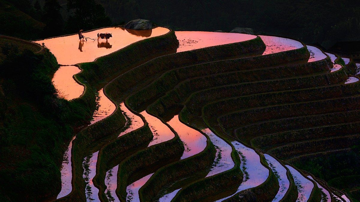 kkbb458's tweet photo. 【中国、棚田が描き出す幻想的な「模様」】
水面が空や雲を映し出す風景は、まるで抽象絵画のよう…。中国雲南省の元陽棚田、ユネスコの世界遺産に登録された美しさ。https://t.co/IM3gjUXxmN https://t.co/mGXE3SlW5c