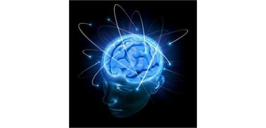 CyberWiseCop's tweet photo. Read why the brain is wired to underplay risk e.g. I won’t be targeted by malicious attack. https://t.co/676c3fQgKs #cybersecurity #infosec https://t.co/S0dggHwwa1