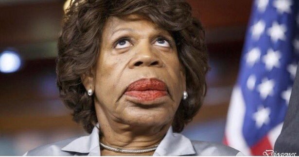 paulypkny's tweet photo. SHUT UP @MaxineWaters YOU SOUND LIkE A BIGGER HORSES ASS THAN @NancyPelosi AND THAT IS ALMOST IMPOSSIBLE! #Impeachyourself #CluelessLibtard! https://t.co/kgcMTPOhMK