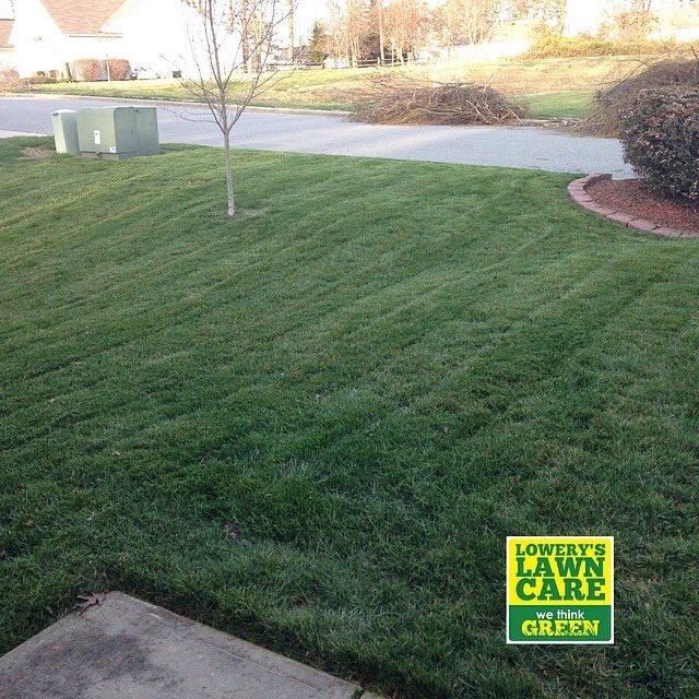 LowerysLawnCare's tweet photo. #GoGreen! (336)484-1518 https://t.co/swTgMkDZ5M