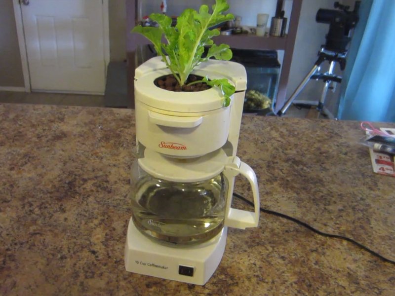 giardindoor's tweet photo. Progetto DIY - Caffettiera americana idroponica 
https://t.co/V1Wn0OEbBs #DIY #GROW #INDOOR #GARDENING https://t.co/QbieioXIWn