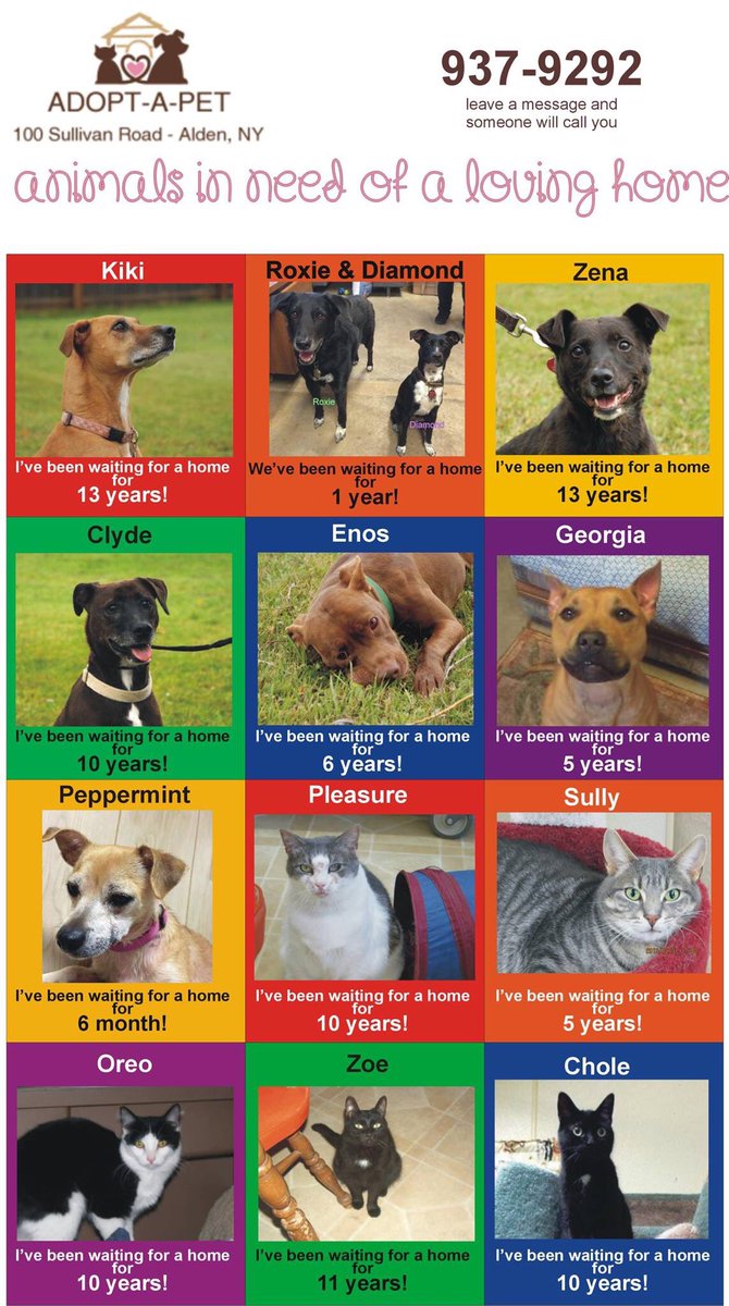 Alden Directory-Even tweet media