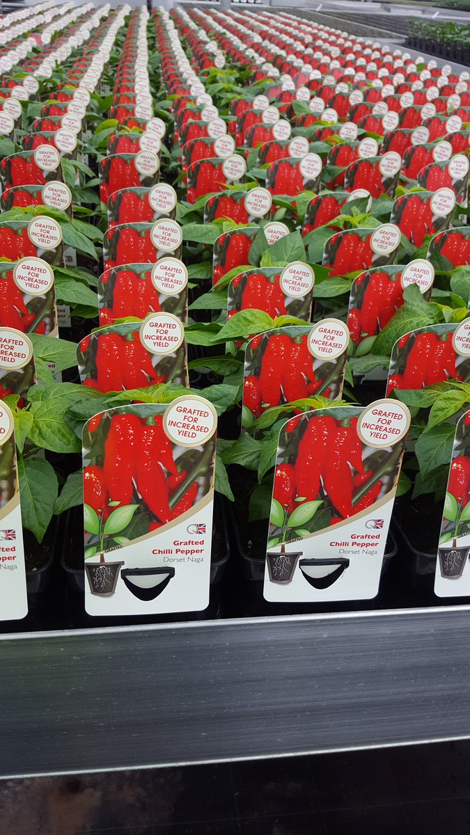 Quantil Ltd (@quantilltd) on Twitter photo 