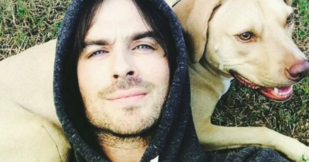 15 pics of your favorite TV stars with their dogs, including #TVD's <a href="/iansomerhalder/">Ian Somerhalder</a>! 🐶😍 --> buff.ly/2neEBUg  #TVDForever #DogLovers