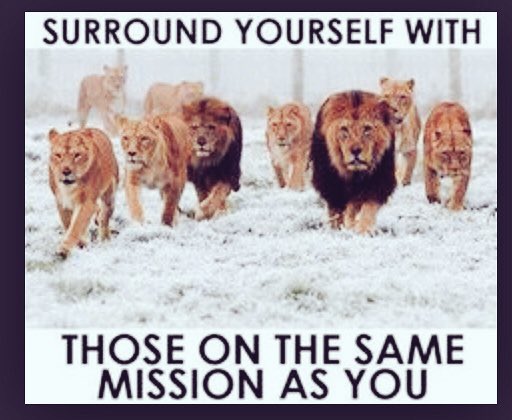 highvibes24's tweet image. 