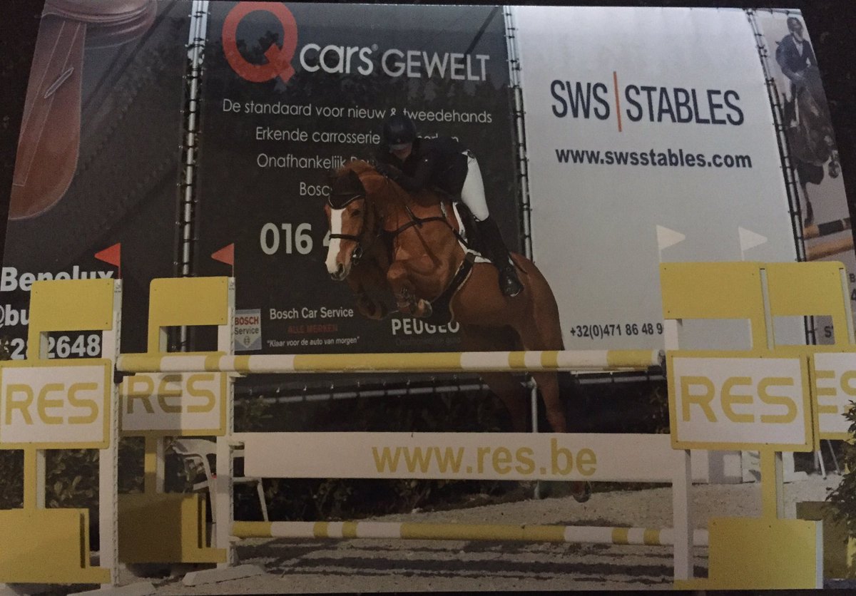 KatiePytches's tweet photo. Educational trip to CSI Bonheiden 🇧🇪with #StepUpToGold #SportEngland #NewbridgeSportHorses #BritishShowjumping https://t.co/8lqe3klxzK