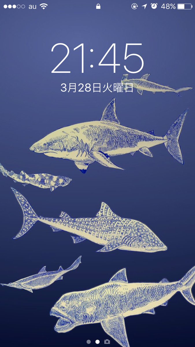 توییتر Nemunoki Paper Item در توییتر 自分用のサメスマホケースが届いたので 早速装着しました ああ かっこいい 壁紙もサメなの うふふ オンライン受注は4月1日からを予定しております スマホケースの他 ホホジロザメのポーチや 6種のサメ缶バッジ