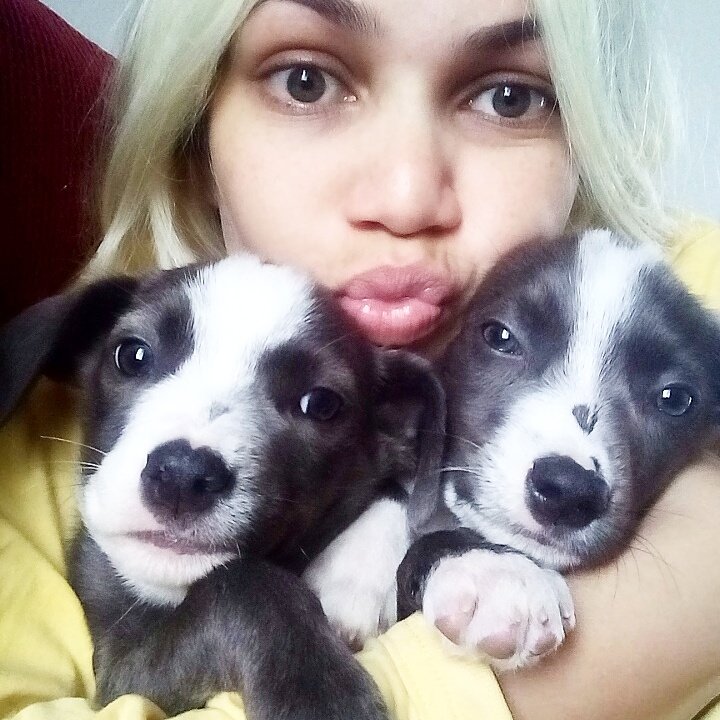 luanylobo's tweet photo. DΓ‘ vontade de apertar π π #bomdia #puppies #plumaeblu #tombinha https://t.co/REFgw9ylFK