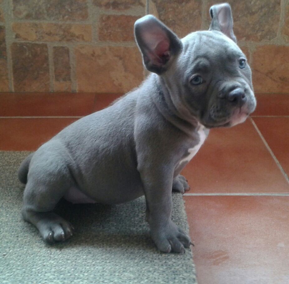 ItaProdusions's tweet image. Hoy me encuentro de muy buen humor!!! She is ok 😬