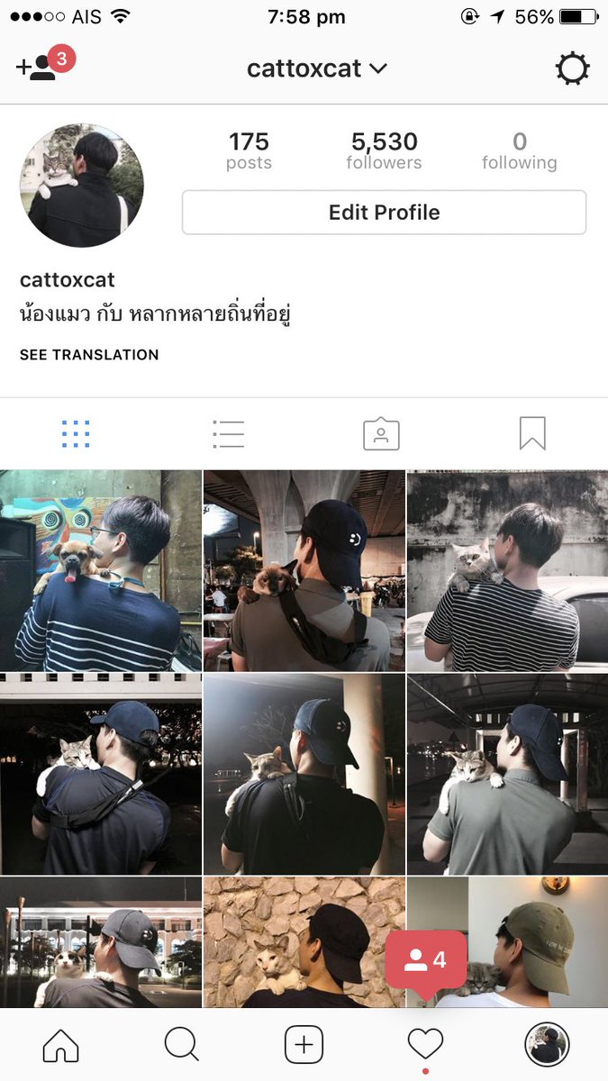 catto 1945 tweet media