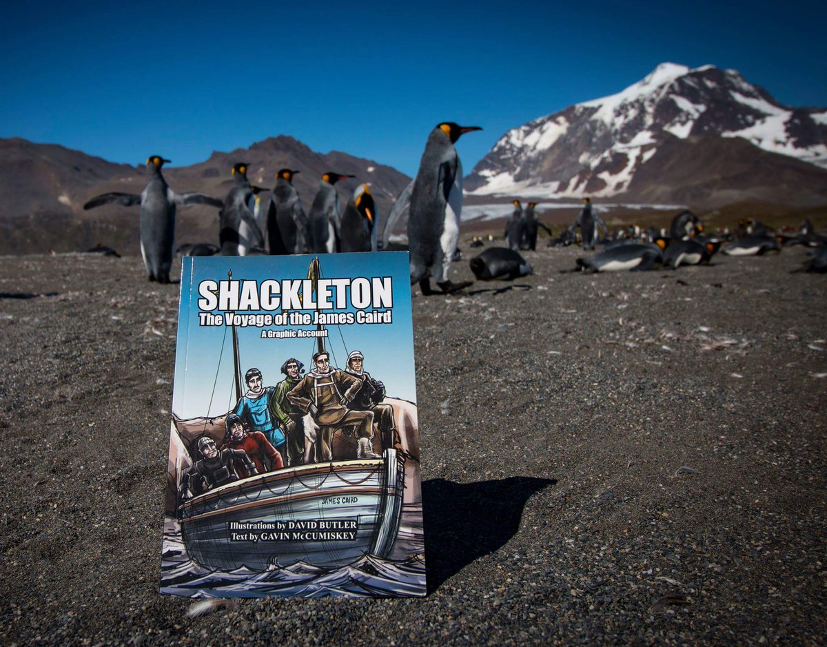 David Butler tweet media