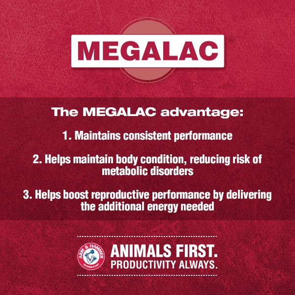 PestellMinerals's tweet photo. 3 advantages of MEGALAC.🐮 https://t.co/aY2LRgQoeK #sciencehearted #rumenbypassfat #dairyfeed #megalac https://t.co/kaH581vZFQ