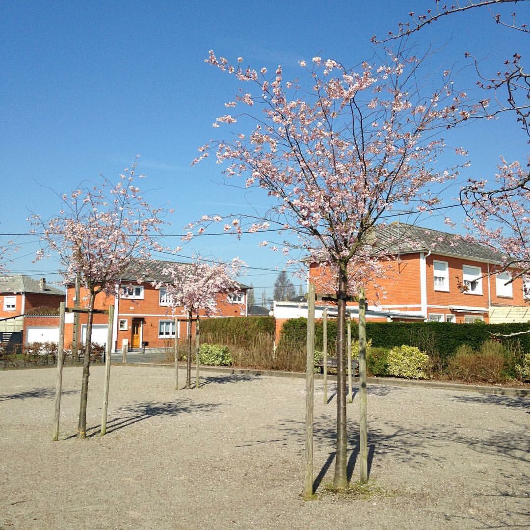 villedelabassee's tweet photo. Que c'est agréable de se balader par ce temps ☀️ #Nord #HautsDeFrance #HDF #NPDCP #printemps #soleil #spring #blue #sun https://t.co/2BXB8g99Up