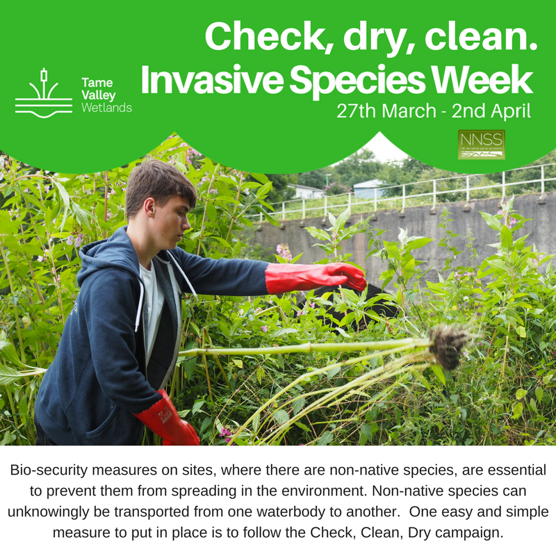 thetamevalley's tweet photo. Day 2 of #InvasiveWeek - Biosecurity! Take a look at the @CheckCleanDryGB Campaign and see how you can help! https://t.co/Pjcy1qtvFG https://t.co/UkhcGNHFae