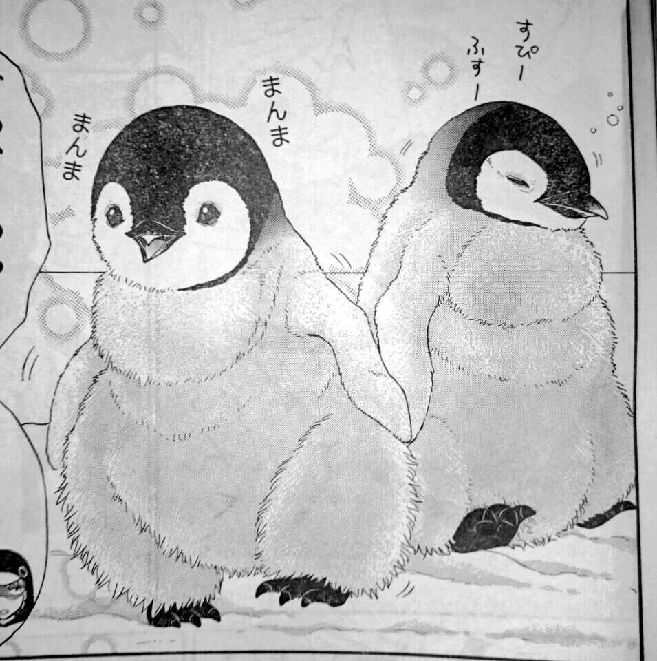 【お知らせ】
水族カンパニー!第4話「ペンギンさんは反抗期!?」が発売中の月刊スピリッツに載ってます。ペンギン担当飼育員の新キャラが出て来ます!
#水族館 #ペンギン #月スピ