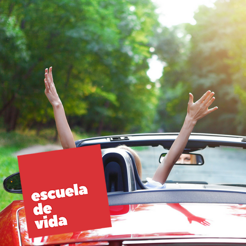 NetBlizuu's tweet photo. En @escueladevidacl enseñan lo que no te enseñan en ninguna otra parte respecto de cómo vivir y disfrutar la vida: https://t.co/6xwQm1uqUl https://t.co/9XX2BRGf94