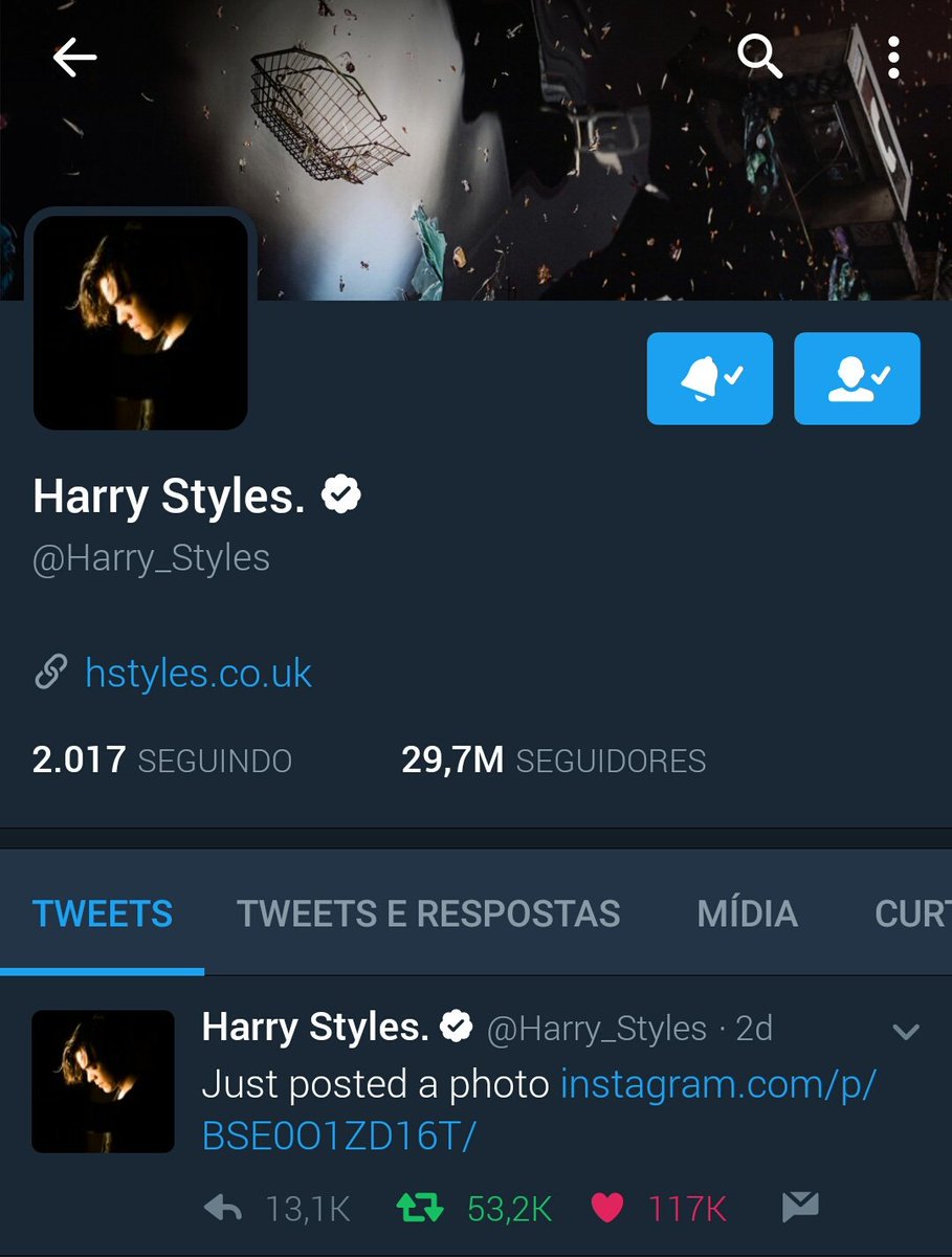 1Directetiver's tweet photo. Harry mudou o seu layout do Twitter e adicionou o link de seu site. https://t.co/OBYtInzePe