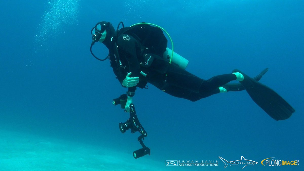 ErwanSavin's tweet photo. Les BAHAMAS
Steven Surina que nous avons suivi lors de notre tournage aux Bahamas.
#AIRONEPRODUCTIONS #SHARKEDUCATION #PLONGIMAGE https://t.co/Z3Ef6lbvJN
