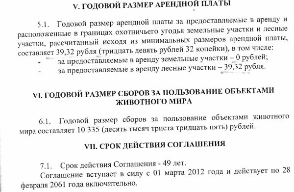 (image)