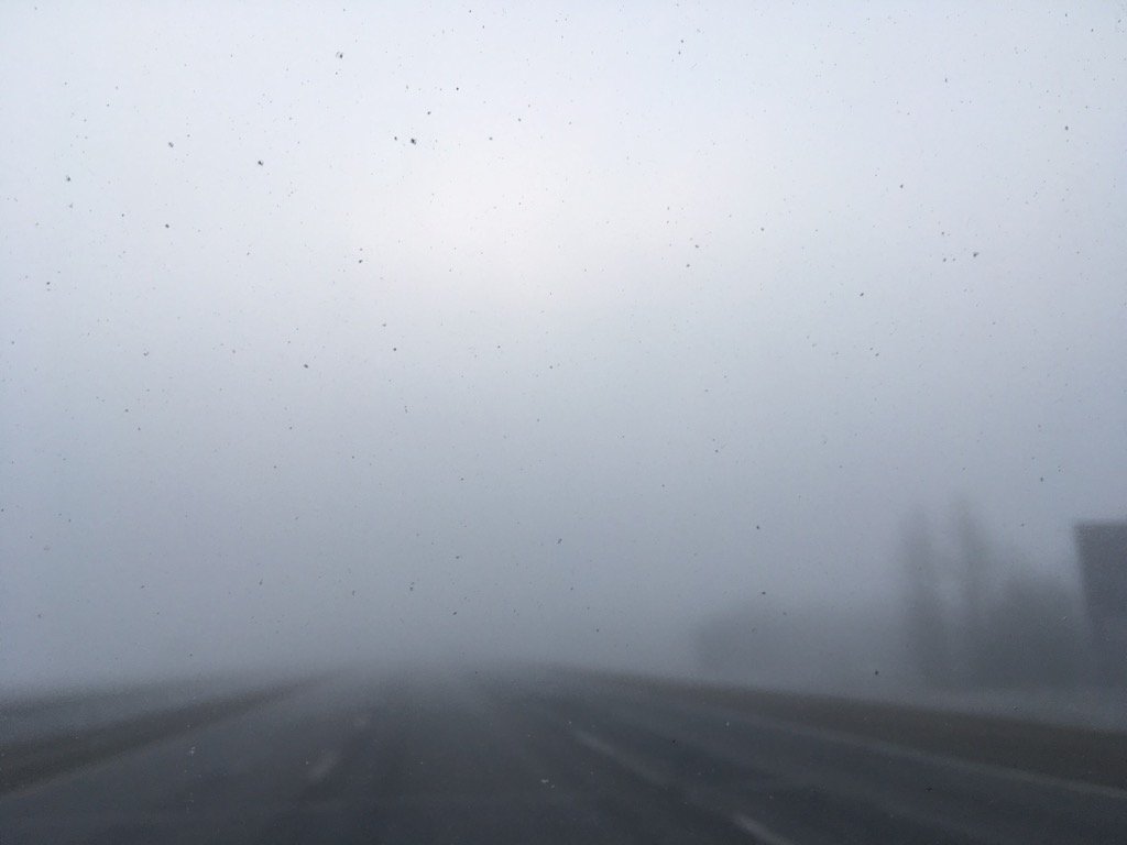 ModelT777's tweet image. Extreme fog in #sprucegrove #yegtraffic