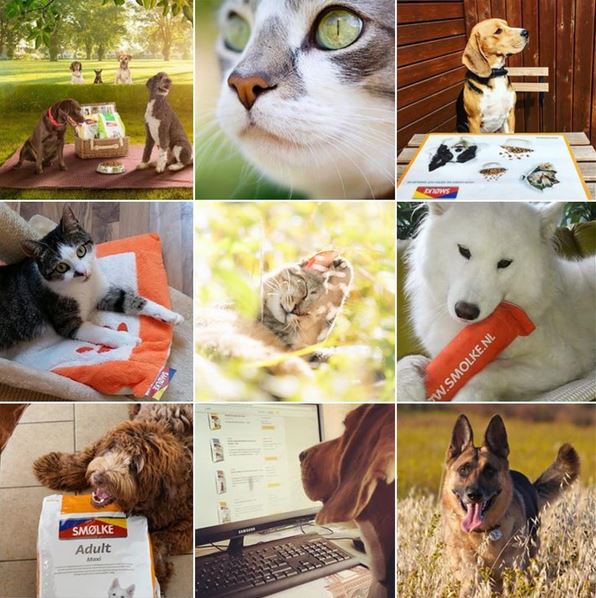 Smolke_voeding's tweet photo. Volg jij ons al op #instagram? https://t.co/PoZv1AaCOP https://t.co/JZX4D9EHah