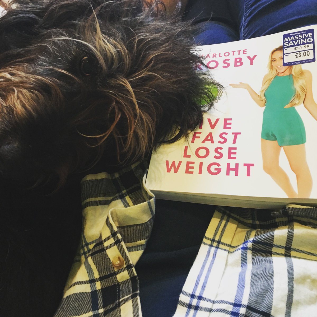 vickymit123's tweet photo. When your dogs giving you the big eyes #relaxing #rainyday #god #charlottecrosby #reading #weightloss #motivation #transformtiontuesday https://t.co/JXsmUHAwPS