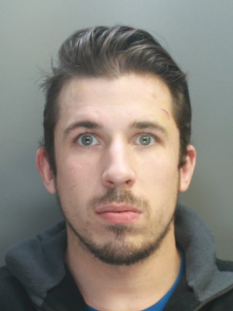 View image on Twitter