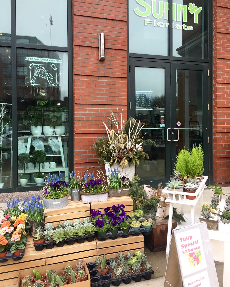 Sunnyflorists's tweet photo. Spring is at the door https://t.co/zYLlsnHWjZ