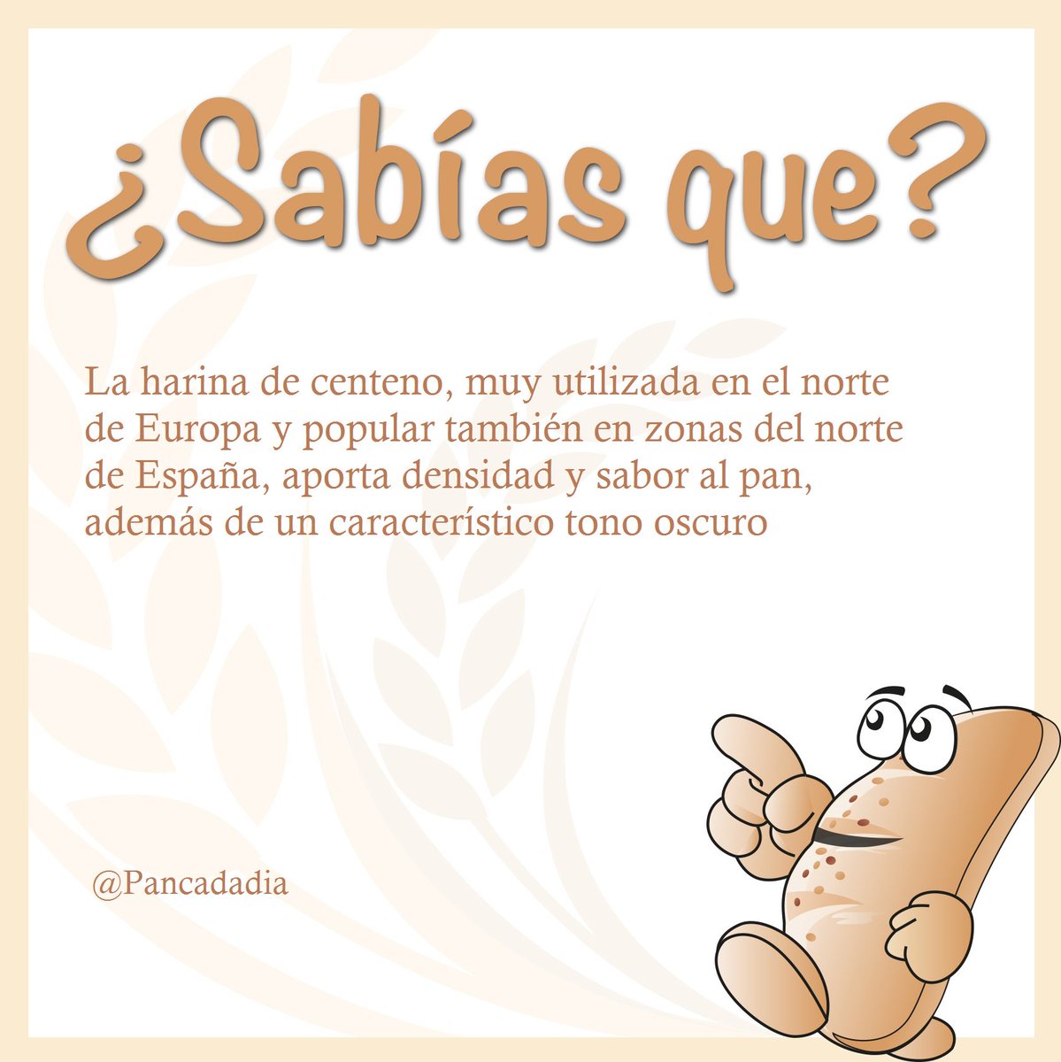 Pancadadia's tweet photo. Una buena opción si estas buscando panes con alto contenido en fibra es el #pan de centeno, descúbrelo a través de 👉 https://t.co/VdP8WzUijt https://t.co/vqwNGUvfc4