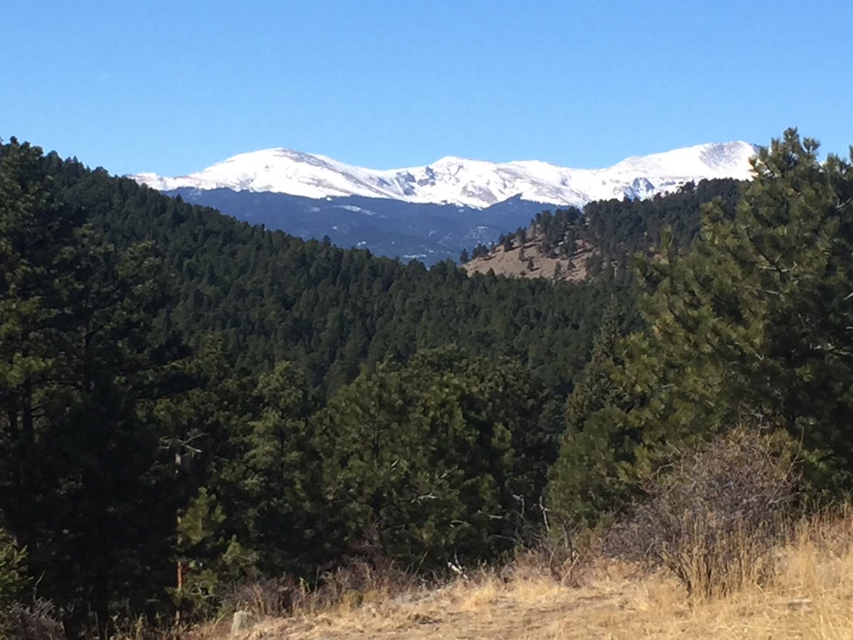 kenrmorales's tweet image. Come and #barkback to save this beautiful off leash dog park. Rally / Walk 1 Apr 2pm in Evergreen co. #FEDPbarkback