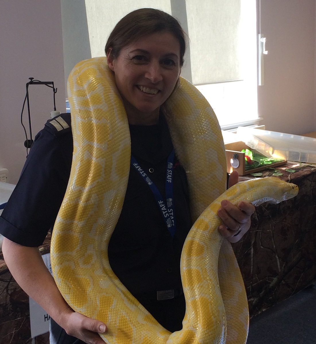 WestSussexFire's tweet photo. CM Mays got a little more than she bargained for when she visited @angmeringschool to give some fire safety advice! #MontyandCharlotte https://t.co/OjVpaEb4nL