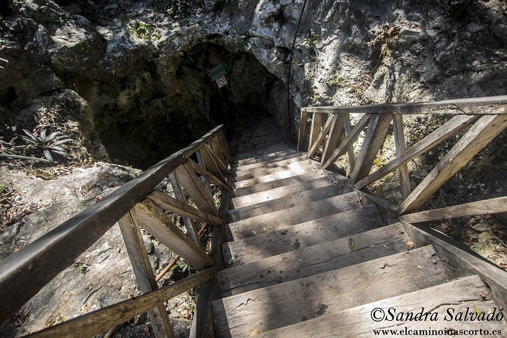 Caminomascorto's tweet photo. Cenote Choo-Ha, en el poblado de Coba
Còo ir: https://t.co/UTWhZaKOg9
#cenotes #Coba #ChooHa https://t.co/Ej2GwfC2ZL