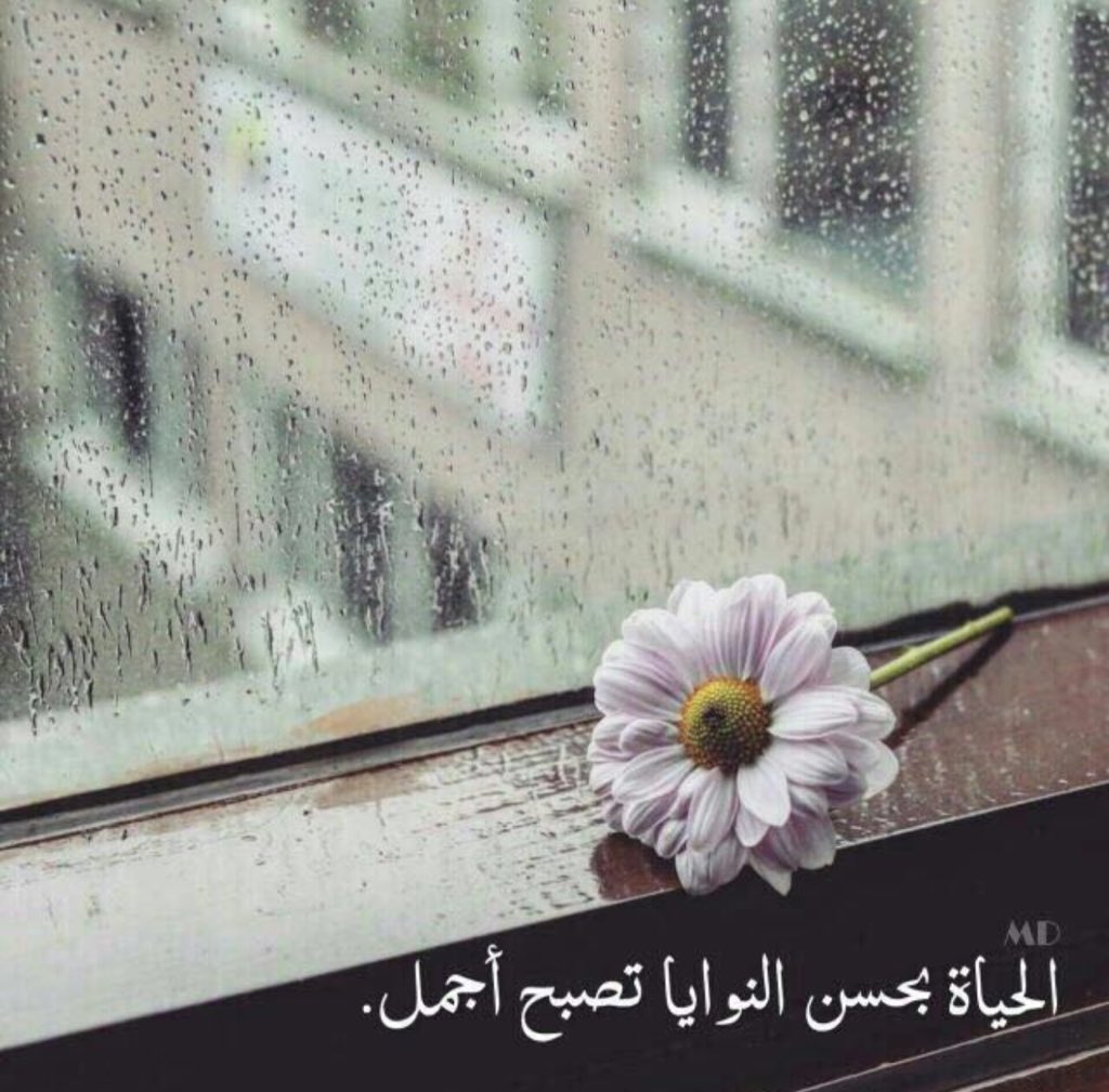 عِندما يكُونْ هَمک كَلام ﺎلناسّ فَ ﺎعلمّ انك سَ تمضيّ حَياتکَ دونَ ﺎنْ تحققَ شَيءَ.!🌸