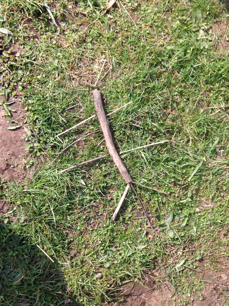 gibsidestableNT's tweet photo. Had a lovely day in the sunshine @NT_Gibside discovering habitats and making animal homes with year 1 @PortobelloPri https://t.co/dPPxeZepfI