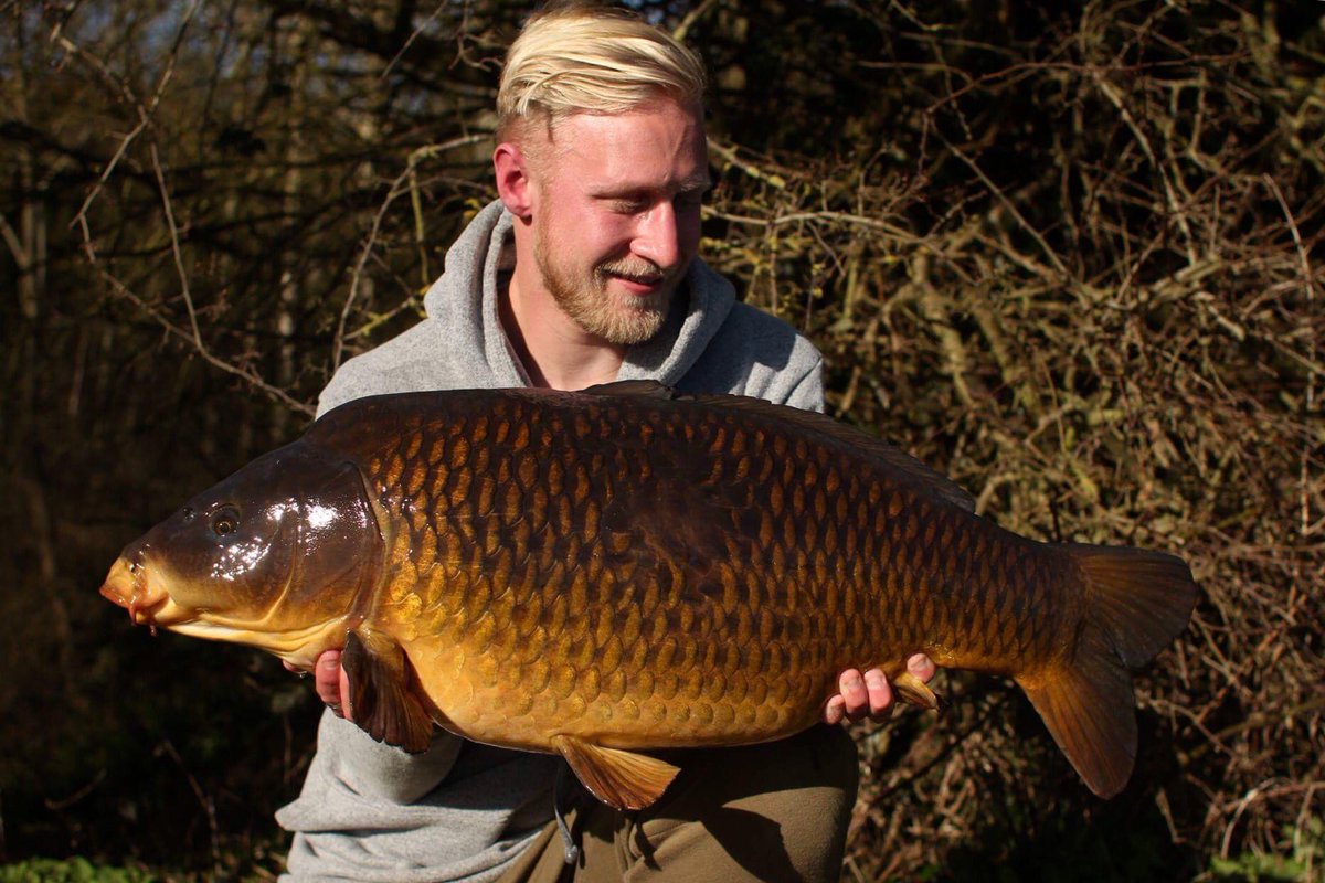 A bar of gold from a few weeks back.