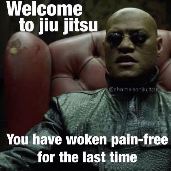 Stewaves's tweet photo. #bjj https://t.co/6MrpRlLCQ3