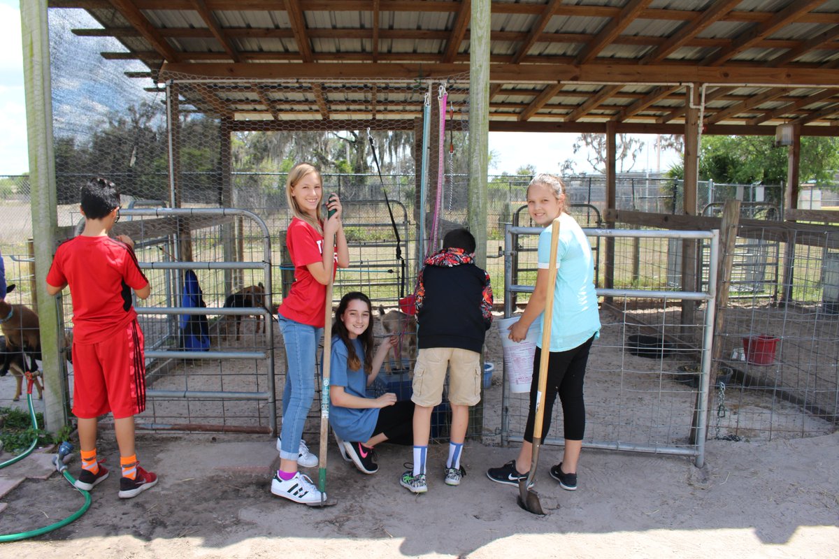 RMSMsDelgado's tweet photo. CTE Cross-Curricular - Ag & Business Tech! @HCPSRandallMS @HCPSCTAE @MawhinneyClaire #RandallMS #FarmLife #BusinessLife #FBLA #FFA https://t.co/ukjglZBjfY