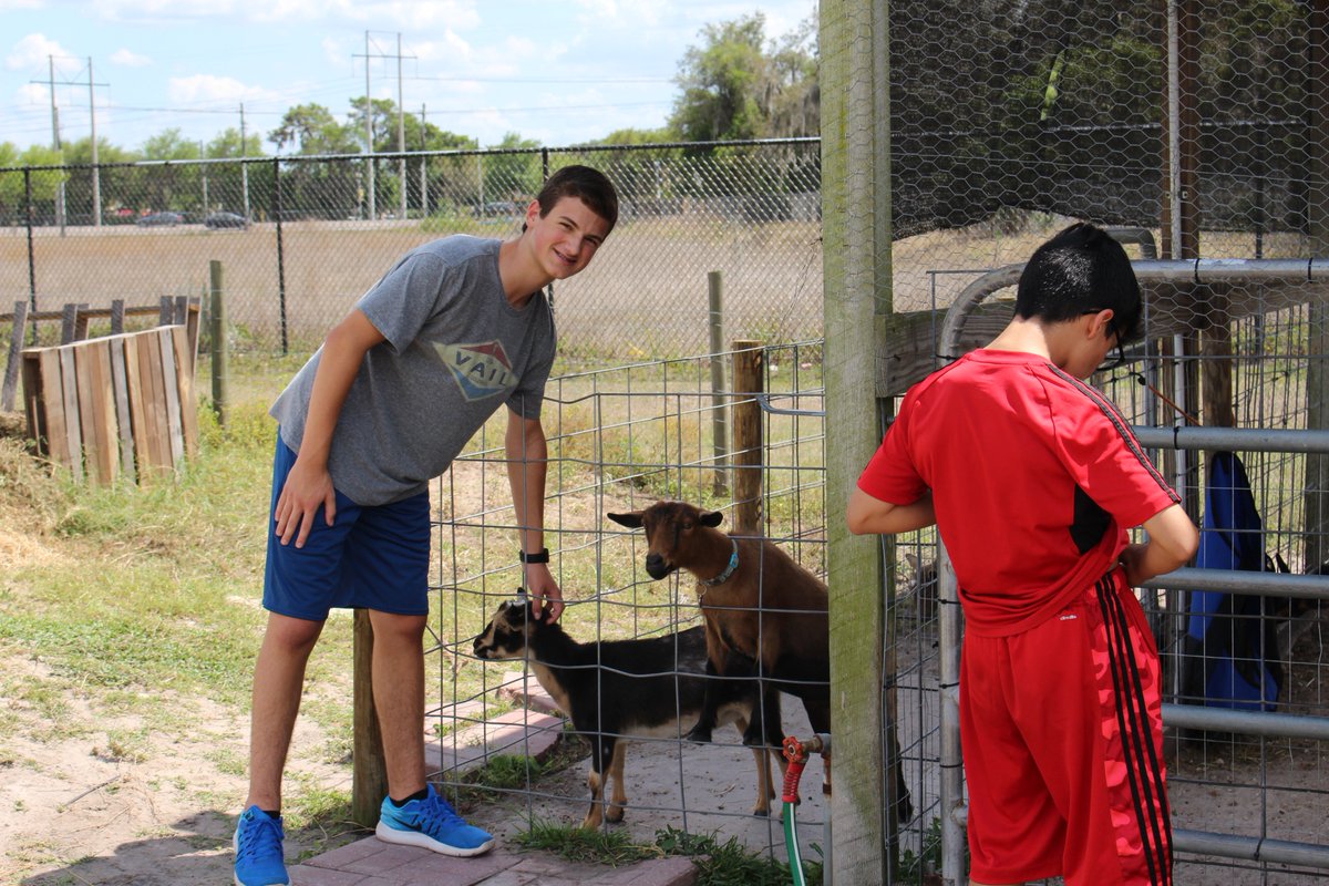 RMSMsDelgado's tweet photo. CTE Cross-Curricular - Ag & Business Tech! @HCPSRandallMS @HCPSCTAE @MawhinneyClaire #RandallMS #FarmLife #BusinessLife #FBLA #FFA https://t.co/ukjglZBjfY