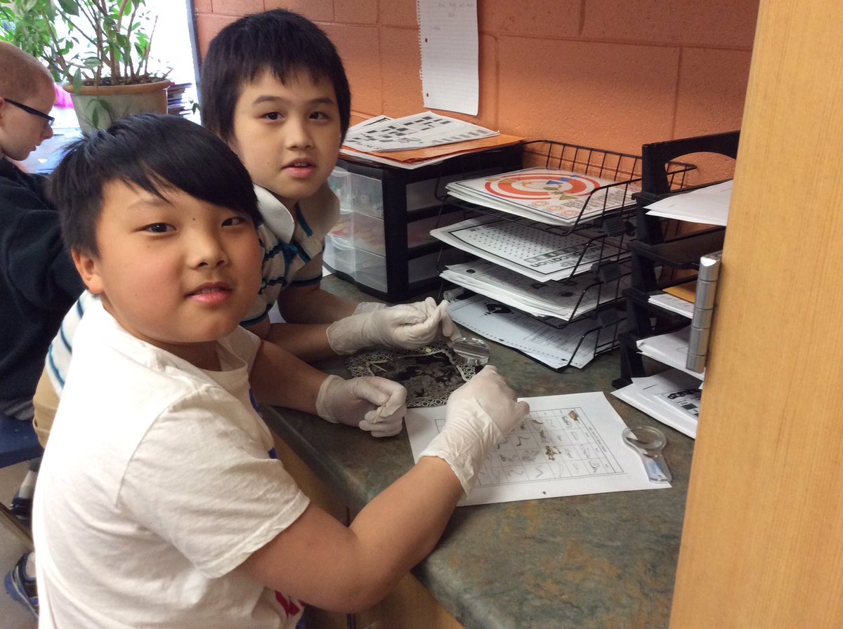 RH_Elementary's tweet photo. Mrs. Latz's 4th graders are dissecting owl pellets.
#ifoundaskull #ifoundashrew #ifoundawishbone https://t.co/HUZOSOL2D5