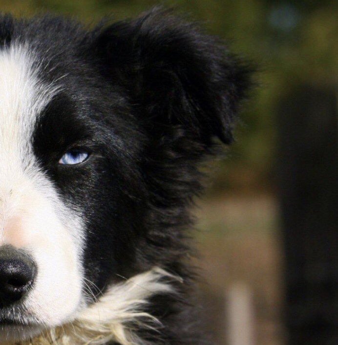 James Read has left Farmers Weekly for pastures new find him <a href="/WoldShepherd/">James Read</a>, please bare in mind he still talks and tweets a load of s**t