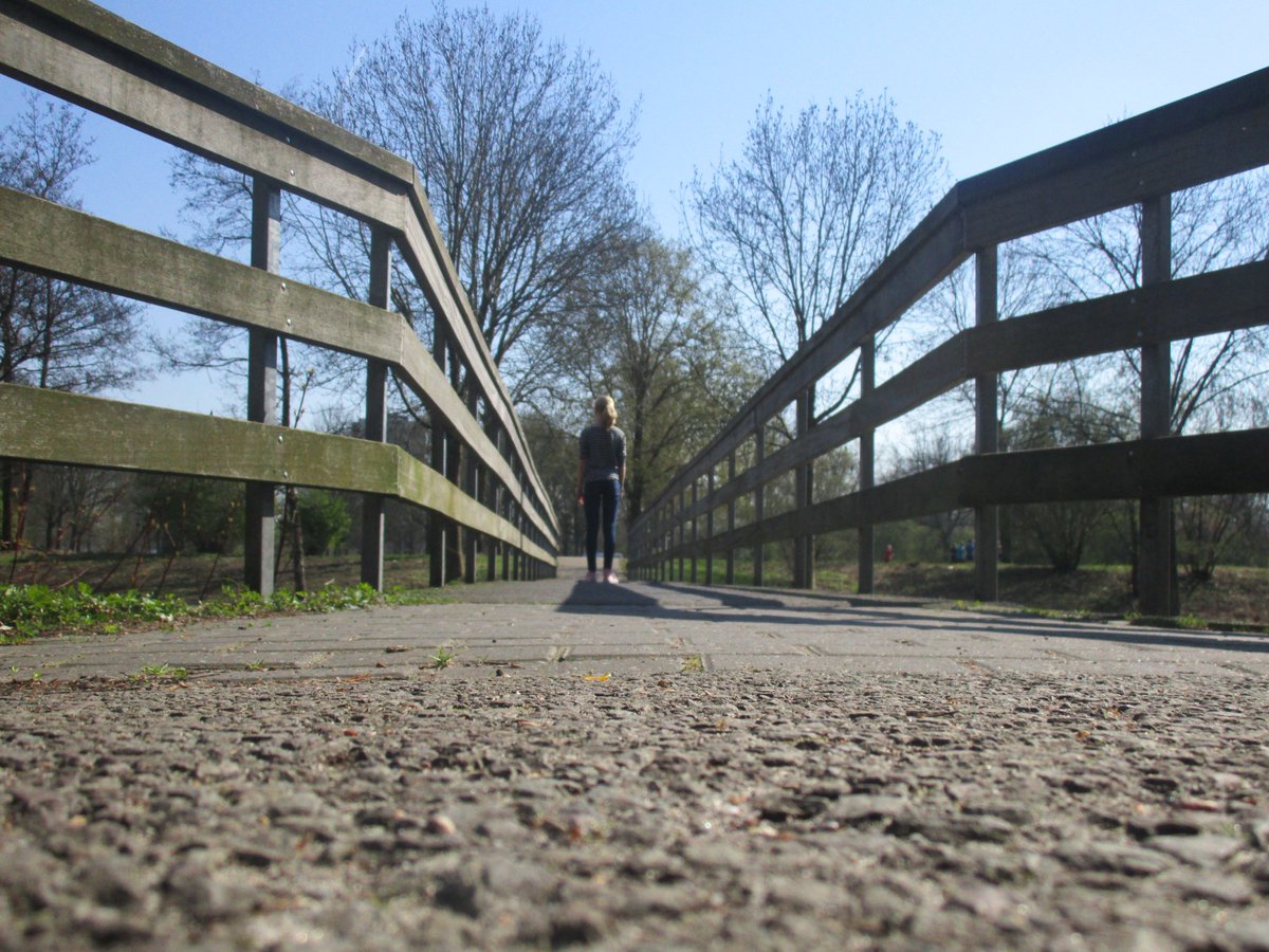 VCMPfotografie's tweet photo. Foto's met kikkerperspectief. Een andere, verrassende kijk! Gemaakt door Annefleur en Jolijn. #1mh4 #fotografie @vcmheenpark https://t.co/g9r93eptwa