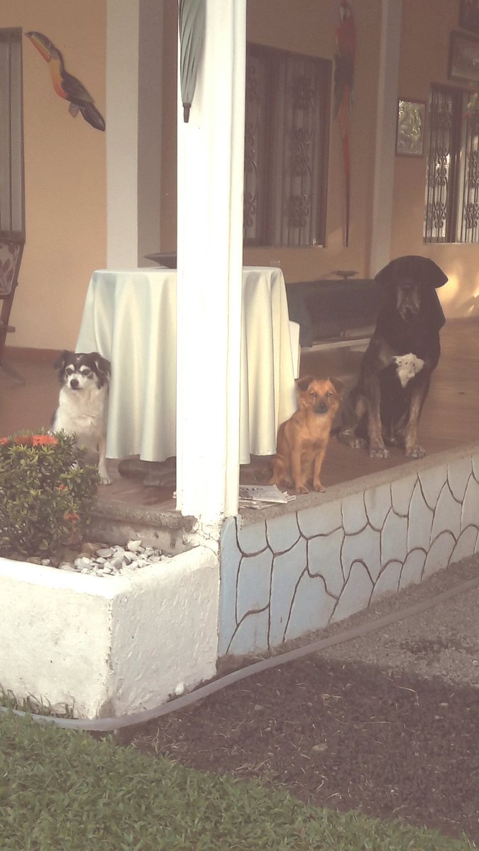 renunciamos's tweet photo. #R6 #FAQViajeras su transporte favorito sin duda es #LaJebi. Miren como quedan cuando nos vamos son ellos. https://t.co/2bdCqZFnFg