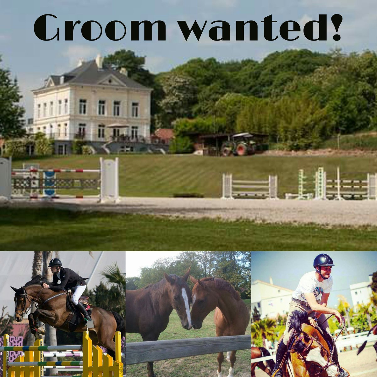 VP Equestrian Center tweet media