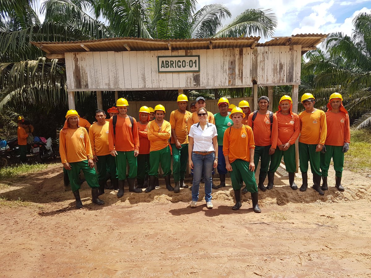 andresa_forest's tweet photo. "No Exploitation" para trabalhadores de plantios de palma #tftlive #tftimpact #transformation https://t.co/jF8mvfSV6S