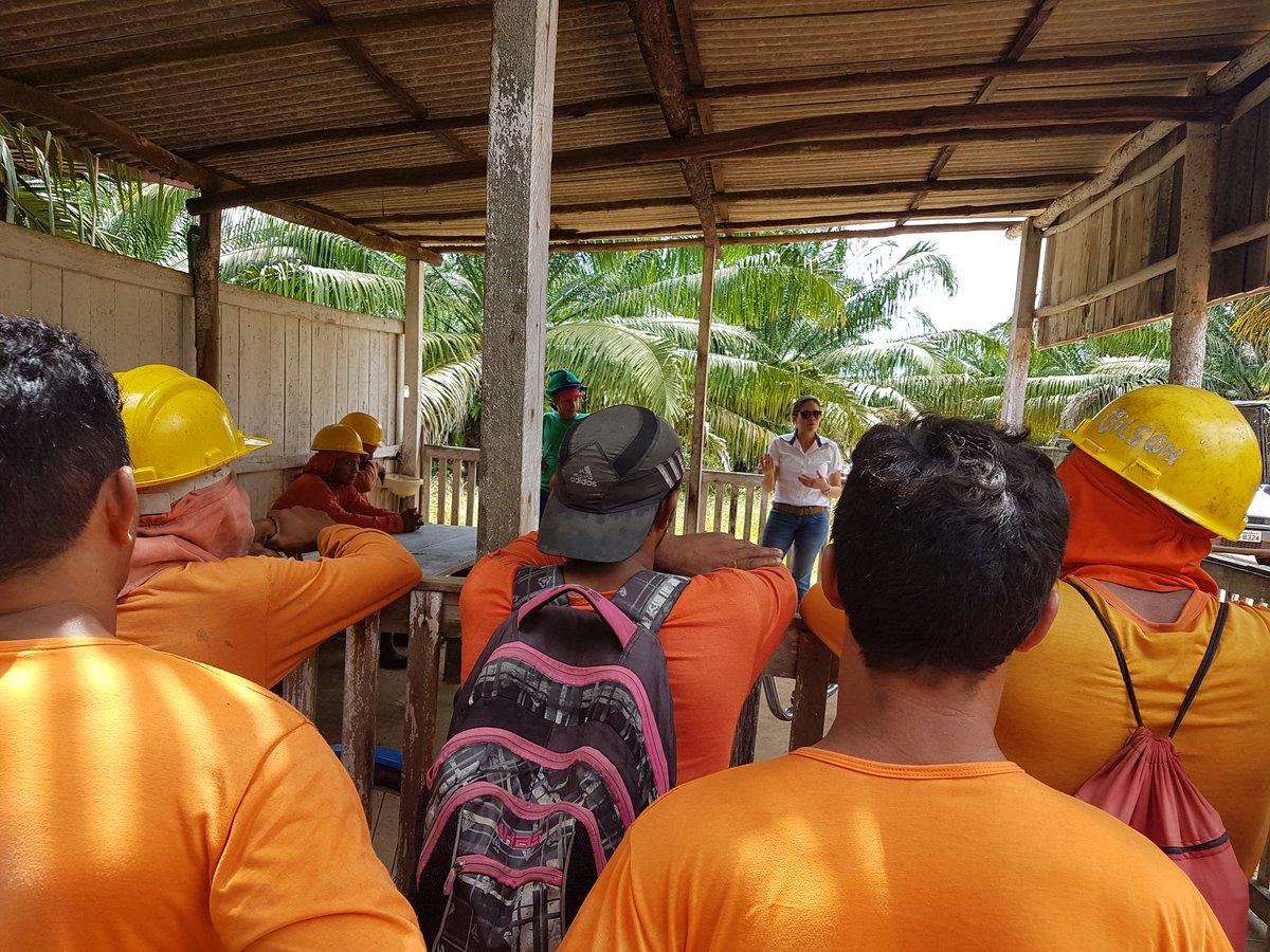 andresa_forest's tweet photo. "No Exploitation" para trabalhadores de plantios de palma #tftlive #tftimpact #transformation https://t.co/jF8mvfSV6S